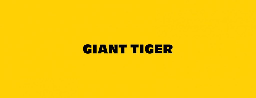 Giant Tiger – Colour Your Summer